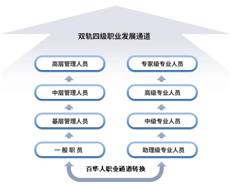 职业成长